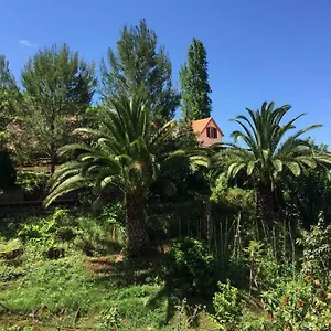 Casa D'olivia , Porto Da Cruz Portugal